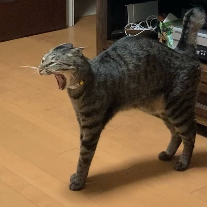 7399e975 49cc 4cf1 bcc2 f455e5bcd872 1626704094826