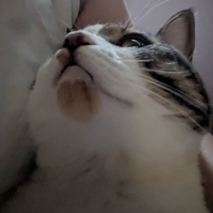 739a0d57 2749 468c b870 5d16cb11c842 1754689524855