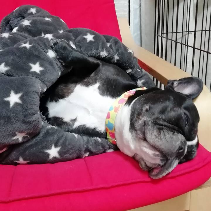 739a2cb2 da83 491f bb03 9f401e943b27 1573042319572