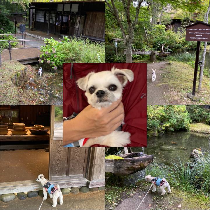 739a353c 55c4 4e5f 843e d286bff2c9a7 1570499265487