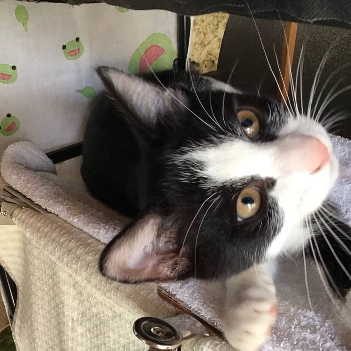 739a3e75 21e9 479c 99a8 a6d4787ac491 1627780162001