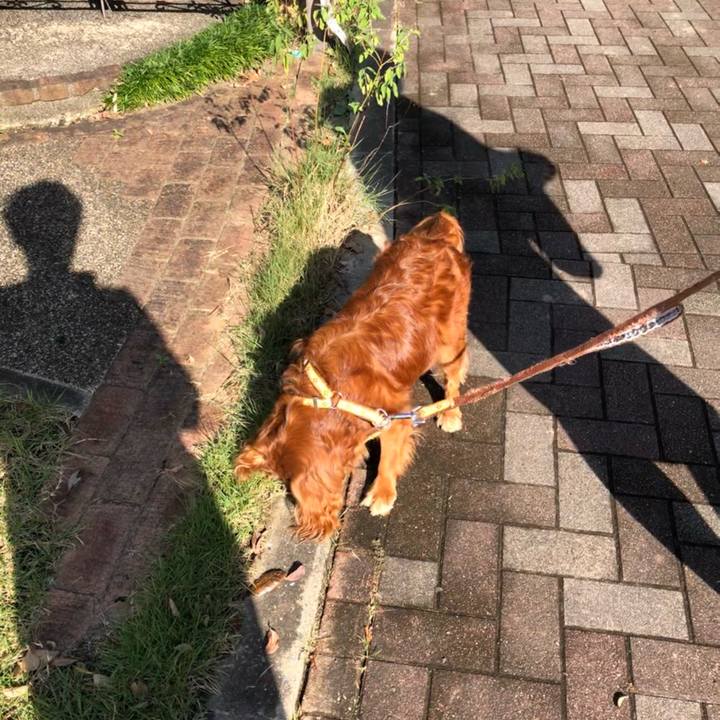 739a4540 3020 4f23 8237 3c43d81c545c 1633219130455