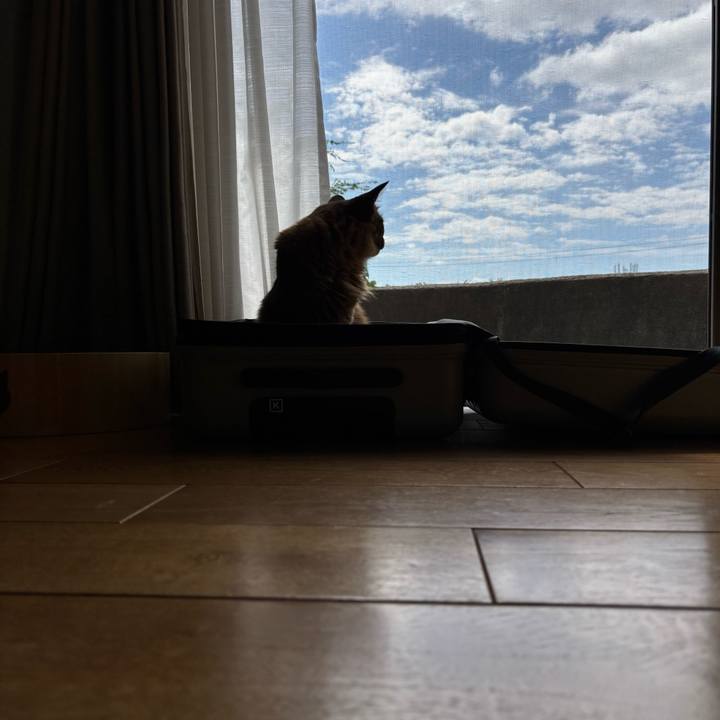 739a79d8 765d 48ed 8784 923489340226 1758938563602