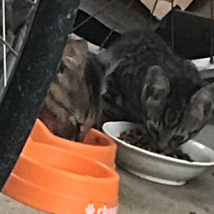 739a89c9 fad9 4f2f a696 c5f43163ef8a 1530874275328