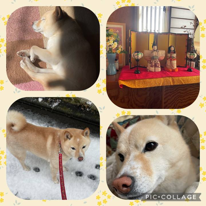 739a8aa6 7bd8 407c a35b 60d304bf1290 1676375945874