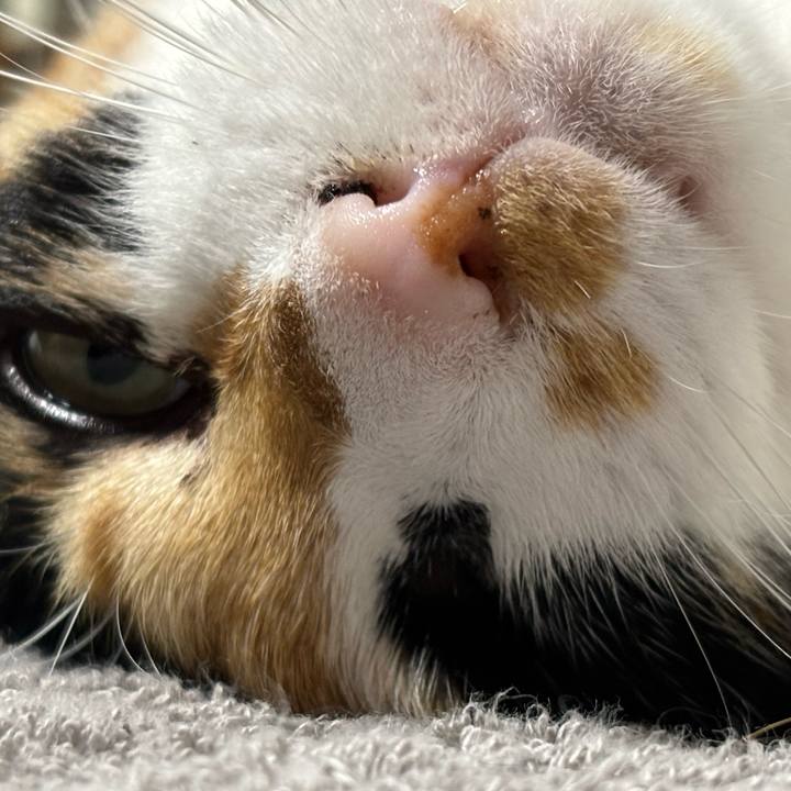 739aec2b f7f9 415c 90b0 dc1b88c9d8a4 1760360922606