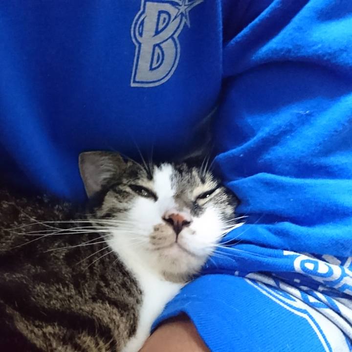 739b14f4 efec 4036 b3e4 a494a6312c13 1508147912442