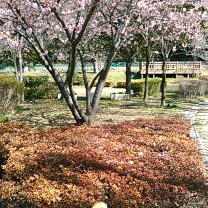 739b1795 3cd7 4faf 8efc 2a921b189ff3 1582868590031