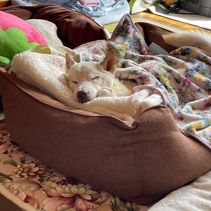 739b5843 b460 41cd a2a5 b26f838ae3d9 1676953944904