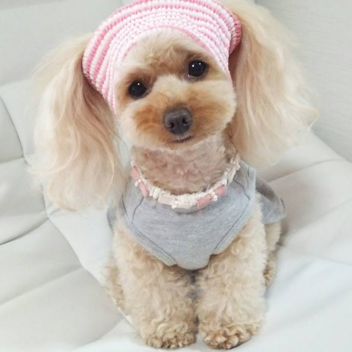 739b65c9 d5dd 4b22 ad06 0d99df02b28f 1524653829483