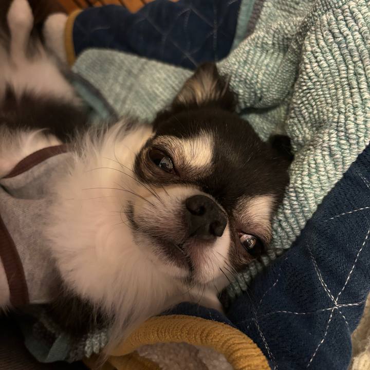 739b789b c089 42f5 ad20 bba165a06b87 1728923530153