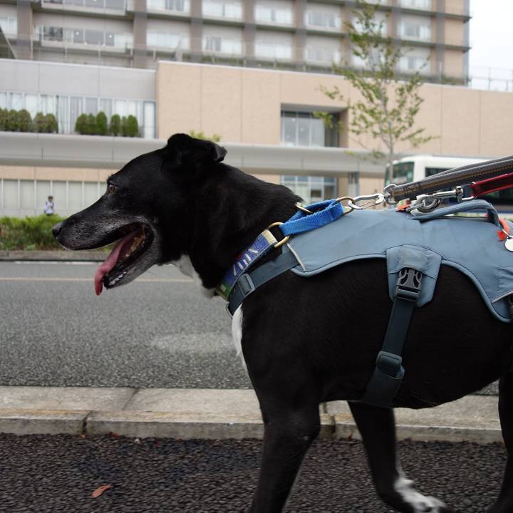 739b9619 85e8 43ba ad53 366aaebe2adc 1727480272782