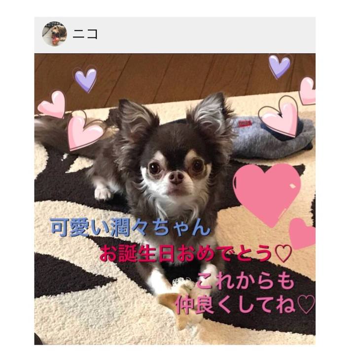 739bb556 71b8 4524 84d9 812d8f3e5957 1531721614128