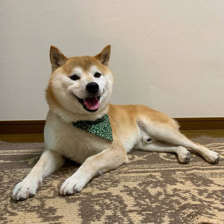 739be36c 130a 43c1 8d41 07f8143725bb 1654945203223