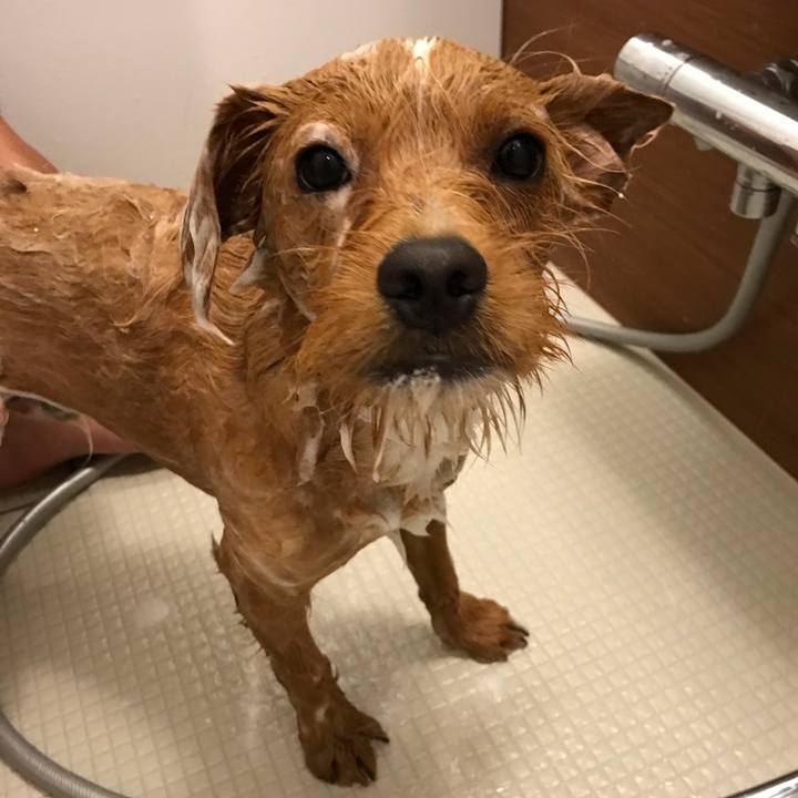 739be704 51ad 44fa 98fb 7f3fc96e03af 1525509769932