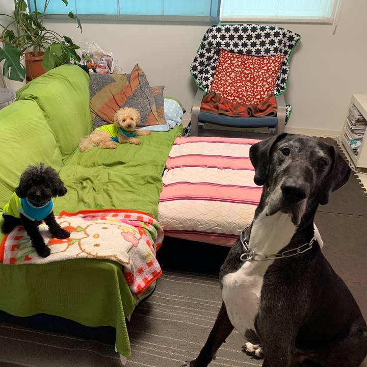 739bf2eb 9c5c 4433 b53a d30e7d60df6f 1593986037269