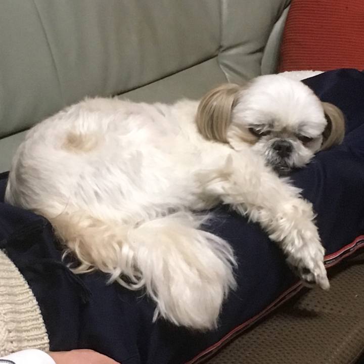 739c162d a373 47d8 8de8 90cb40882ee6 1523511068796