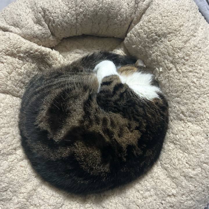 739c17bd 0345 49f8 9d34 615ffbfb9f07 1762289876923