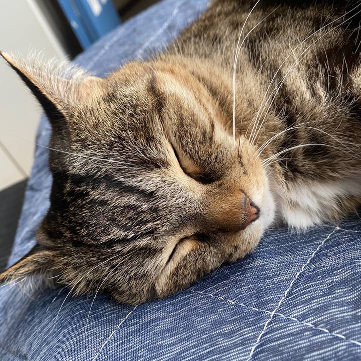 739cd07c 7c4c 4bdd 8e46 5c8bde91372c 1592037366814