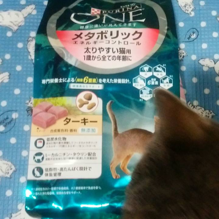 739cf106 5e2a 44ab 8b7a 1d5b908ec5b8 1558513039006