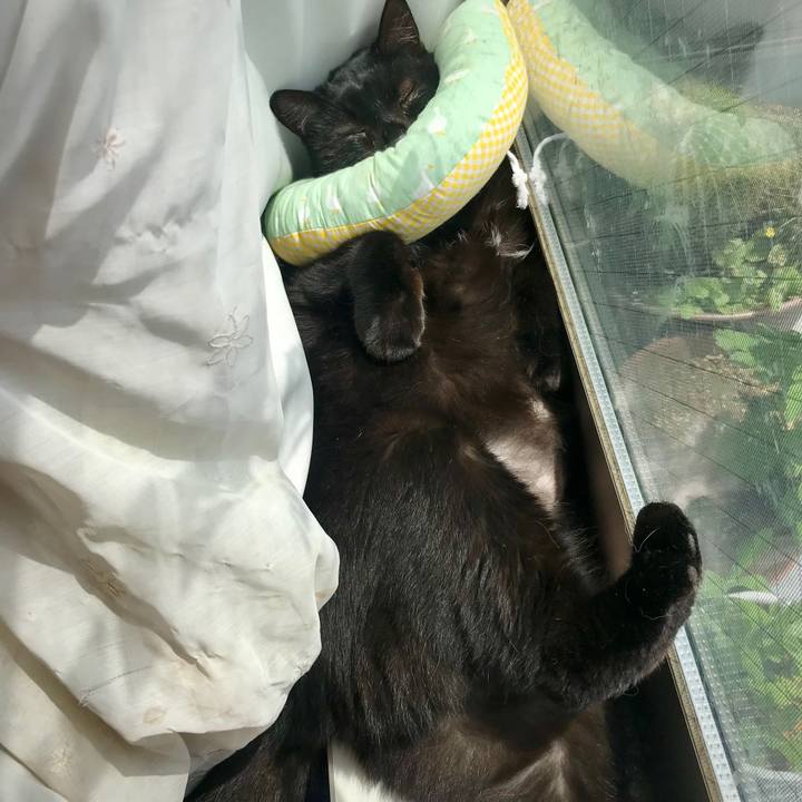 739d1b11 9a5c 4b91 a95f fa56f46a957f 1665496748195