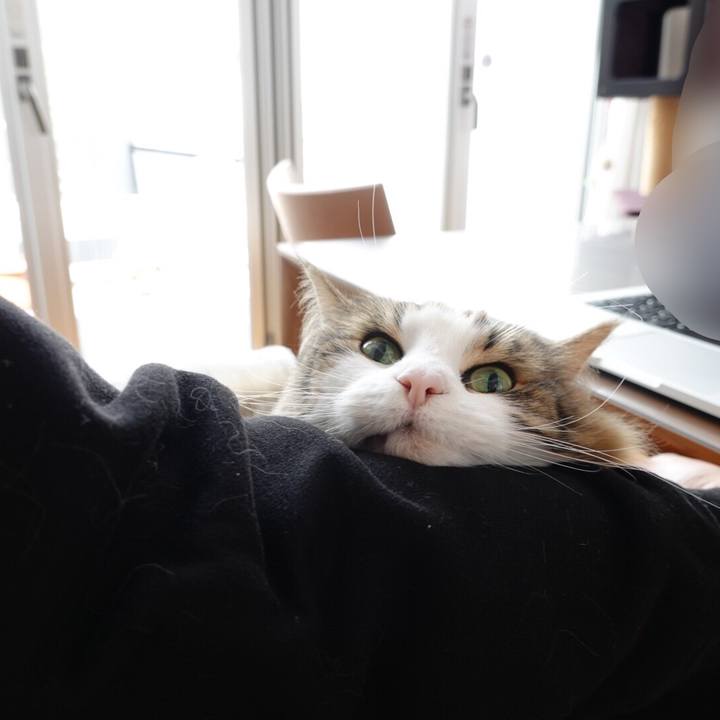 739d4349 c69d 473a 828e bf8afbf02e60 1587529815603