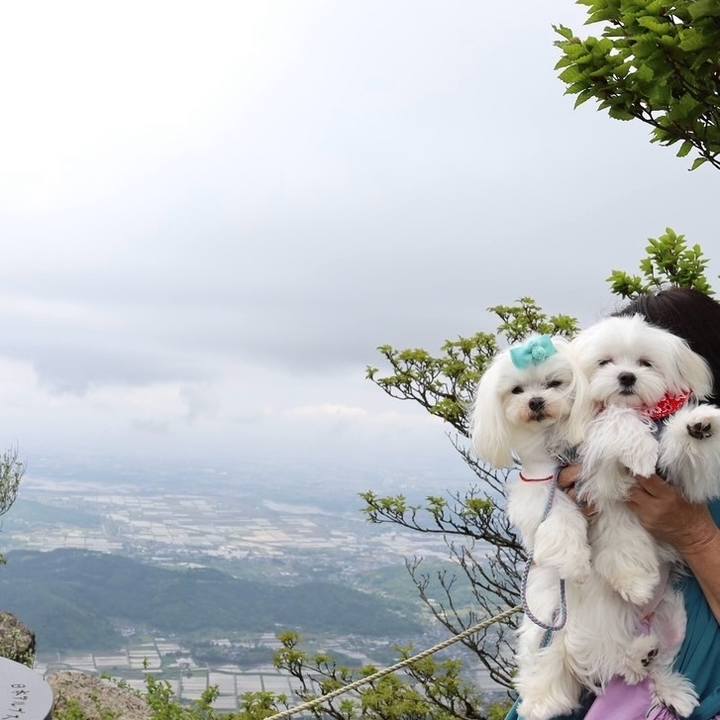 739d5cbf ed0f 42a3 af33 70b37424e00a 1715256368880