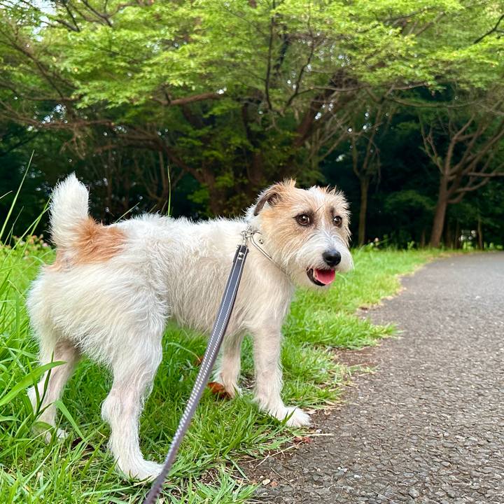 739d7b33 e05e 44ce 9436 cbb3915671e9 1722921889122