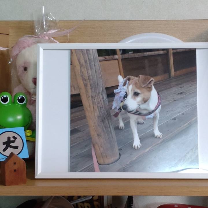 739d898e 62b7 4a81 bf43 98290bd01452 1765704605318