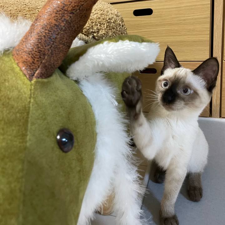 739d9a3d a287 4028 ab69 c1e572f69e14 1692561472135