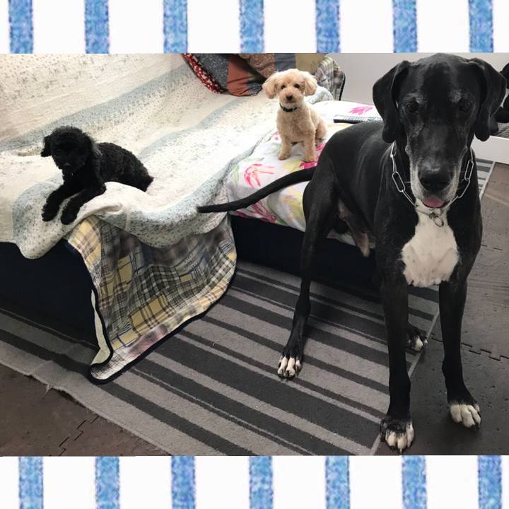 739db81b 05d5 406d b6e1 d82b379ad0d2 1532385215199