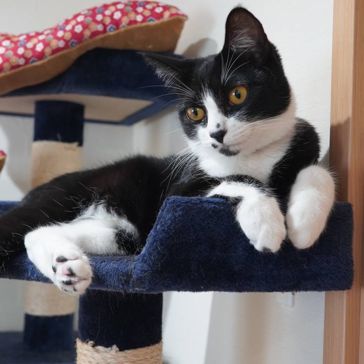 739e4e91 1f88 4820 8d48 aa3c79749543 1599270376041