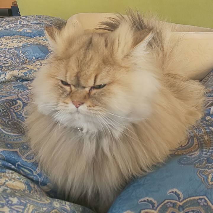 739e68b0 ade8 4c00 a0fc 3b716aa2218b 1581483338924