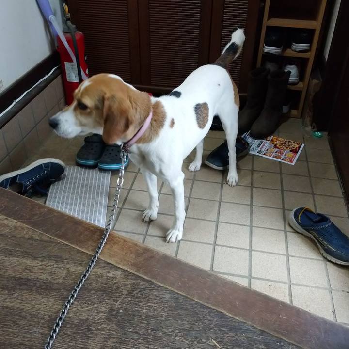 739e84b3 eed9 4020 a950 4f1c0fbceba0 1591001349255