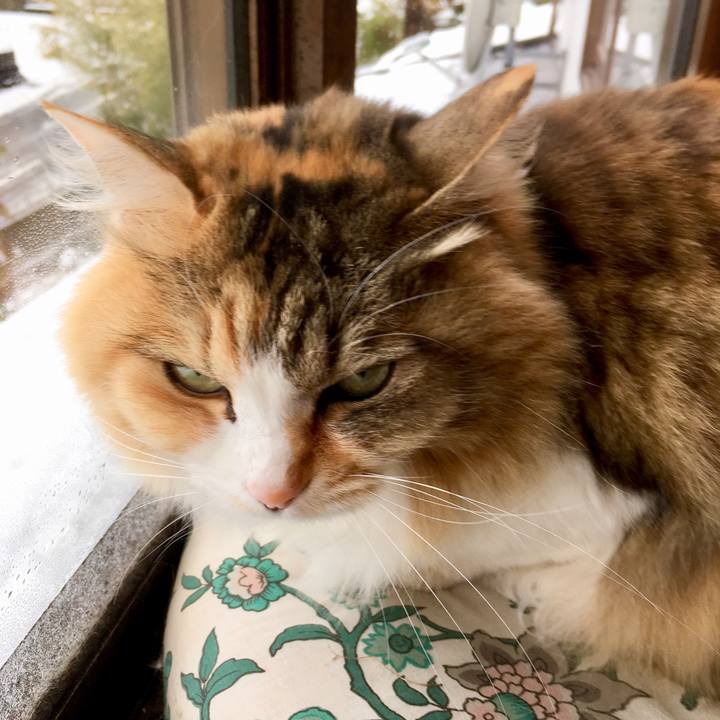 739ebb0a 58a7 41ba aceb 616bd9589894 1554933221200