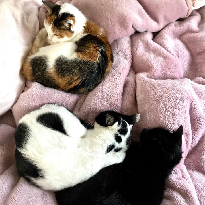 739ebe09 e3cc 4991 b9f4 c702420bc813 1613796123901