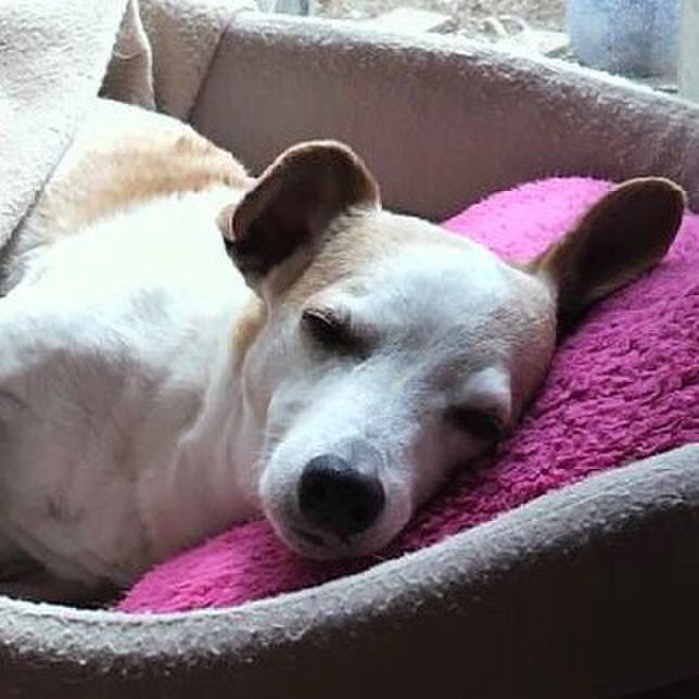 739ec084 4295 4fed 9942 823a78b61f3c 1521901972763