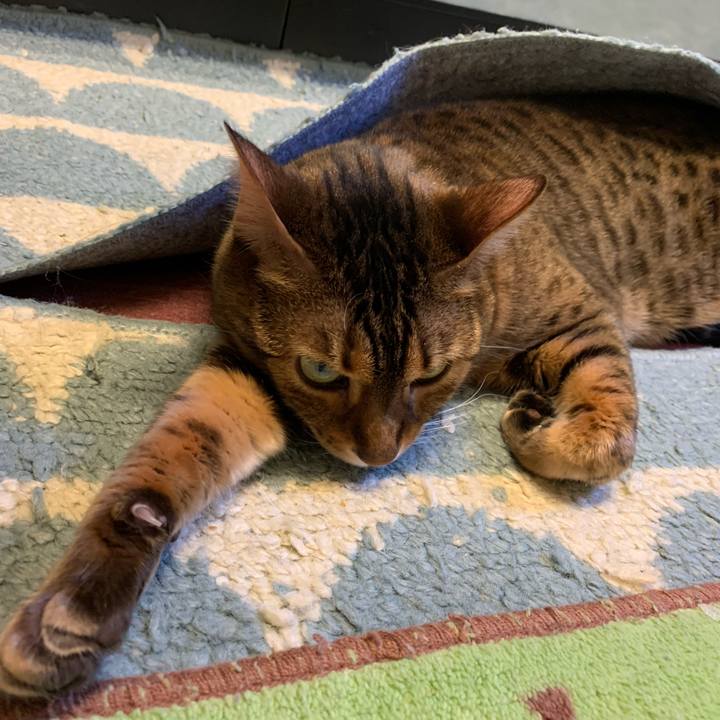 739ec58f 286d 4bcf 8534 7f384a915ea0 1581114157801