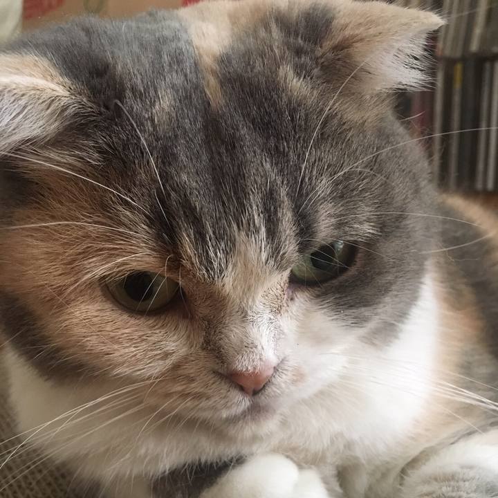 739ed1fe 0997 4453 bbe7 6c3fea0cfedb 1568844242795