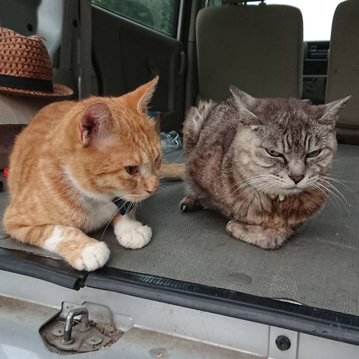 739ed6d0 1d78 4458 8a1d 764314a363d3 1567717385568