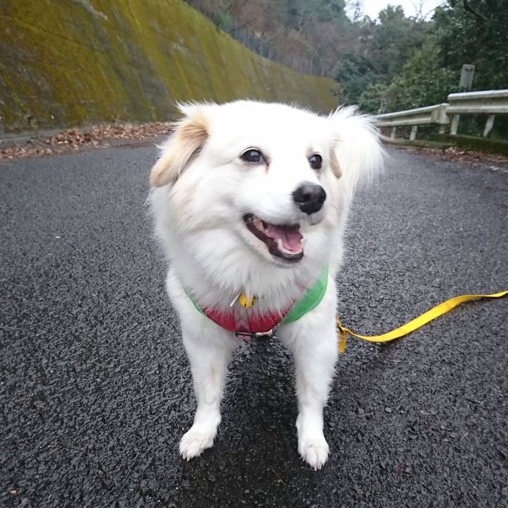 739ef24c 70cc 4e0e 8e6f a688cccb4f05 1553329675698