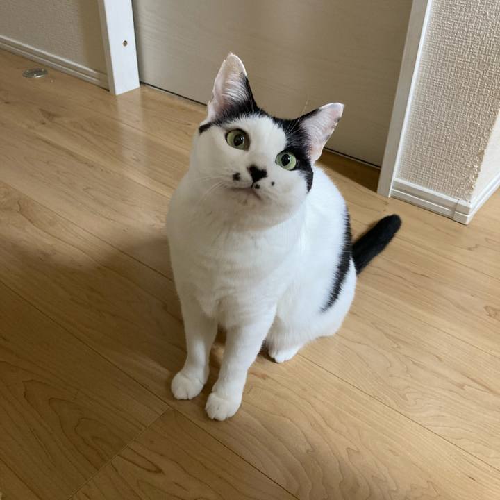 739f2416 2198 4e4d 88dd 70e0a9871d8c 1764188358878