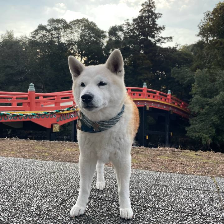 739f2606 7a64 4998 a942 3ece10dbc61e 1672476984290