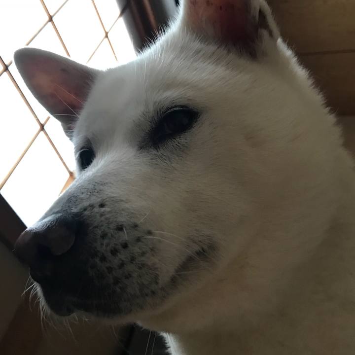 739f2769 5a8a 446e 8b6f 0550bd9e6a30 1516528716639