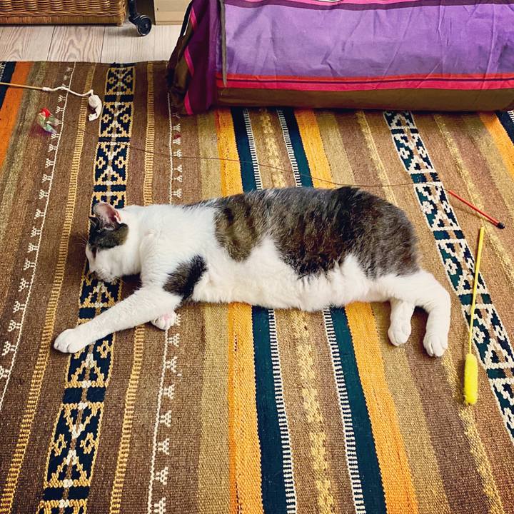 739f5087 61dc 4ee4 9b02 c2fdf1590de0 1594209692494