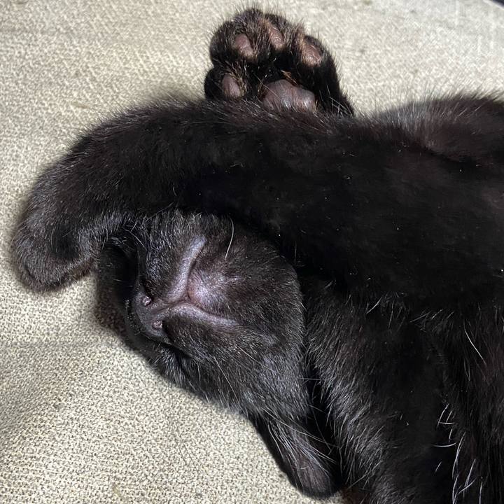 739f8717 8a66 4692 a1d0 8aa4445e1cec 1763993166215