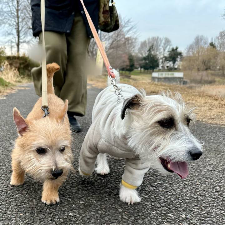 739f908d 6871 45e4 835b 6a7ea7d9f344 1706450064255