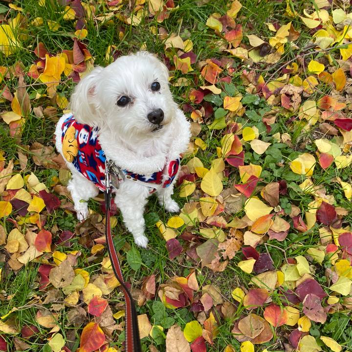 739fb0d7 c5f2 4b44 a314 d72895447e40 1701439695538