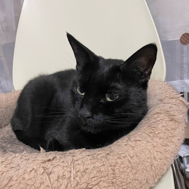 739fc624 ca66 4139 bb1c 9bae9b5225a6 1688560492598