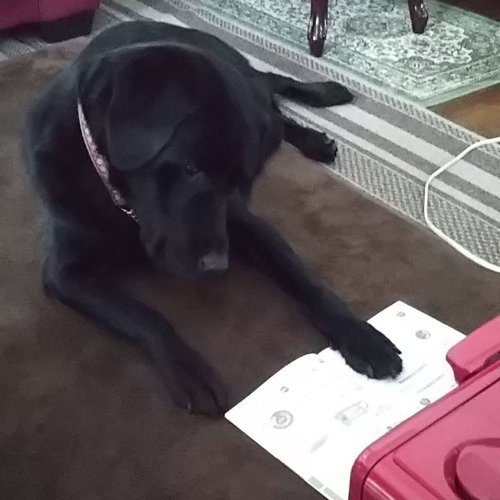 739fd969 deb8 403f 8695 eb865fb34136 1691807687114